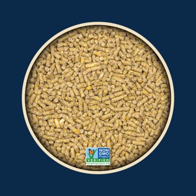 Image showing  Non-GMO All Stock Pelleted Livestock Feed