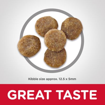 Image showing  Adult Sensitive Stomach and Skin Grain-Free Salmon and Yellow Peas Recipe Dry Cat Food, 13 lb. Bag