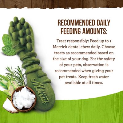 Image showing  Fresh Kisses Grain Free Coconut Oil & Botanicals Large Dental Dog Treats, 27 oz., 16 ct.