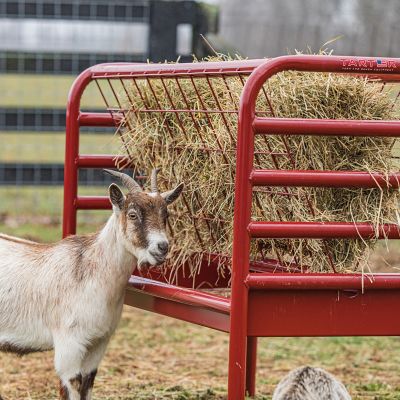 Image showing  4 Flake Dura Tough Mini Hay Feeder