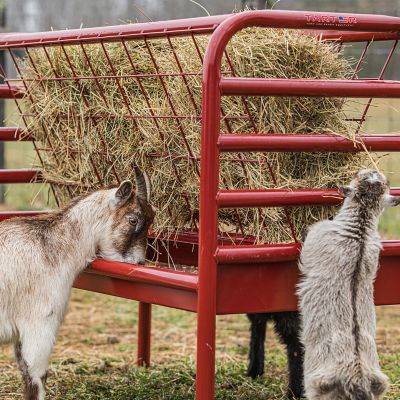 Image showing  4 Flake Dura Tough Mini Hay Feeder