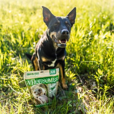 Image showing  Tank's Gluten-Free Beef Jerky Sticks Dog Treats, 25 oz.