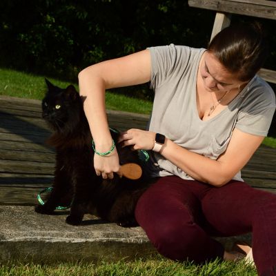 Image showing  Bristle Cat Brush with Bamboo Handle, W6460 BRUCAT