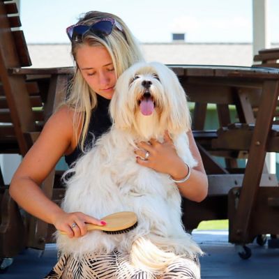 Image showing  Dog Bristle Brush, Bamboo, W6444 BRSSML