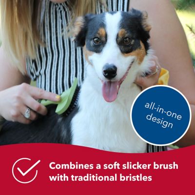 Image showing  Complete Dog Brush (7 in. x 4.375 in.), W423 NCL00