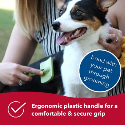 Image showing  Complete Dog Brush (7 in. x 4.375 in.), W423 NCL00