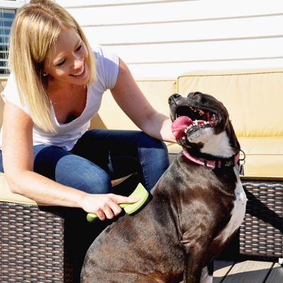 Image showing  Curved Firm Slicker Dog Brush, Medium (6.75 in. x 4.25 in.), W464 NCL00