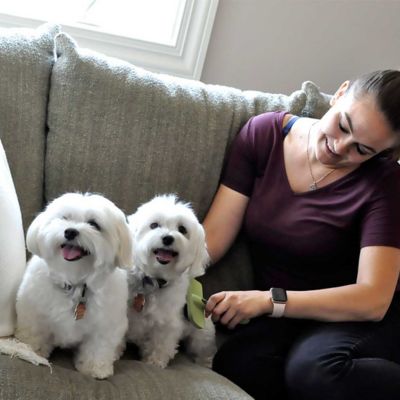 Image showing  Curved Firm Slicker Dog Brush (7.5 in. x 4.5 in.), W466 NCL00