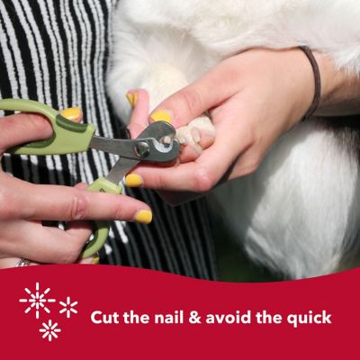 Image showing 5 th Safari Dog Deluxe Pet Nail Trimmer