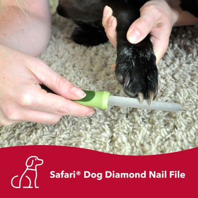 Image showing  Diamond Dog Nail File