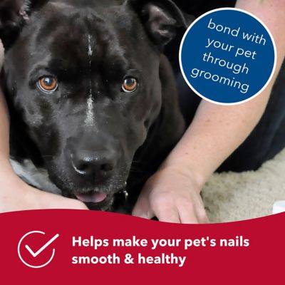 Image showing  Diamond Dog Nail File