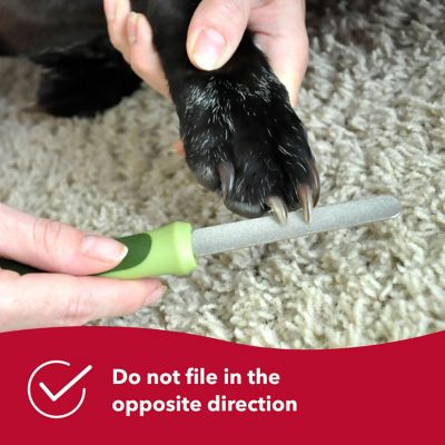 Image showing 5 th Safari Diamond Dog Nail File