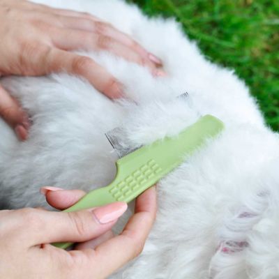 Image showing  Dog Flea Comb with Plastic Handle, Longhaired Breeds (6.25 in. x 1.625 in.), W577 NCL00