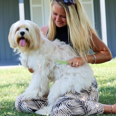 Image showing  Dog Flea Comb with Plastic Handle, Shorthaired Breeds (6.25 in. x 1.5 in.), W578 NCL00