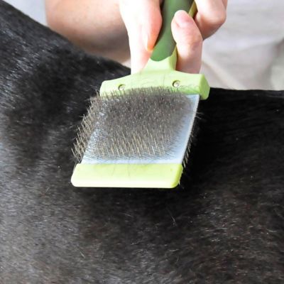 Image showing  Dog Flexible Slicker Brush, Small (7.75 in. x 2.5 in.), W425 NCL00