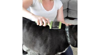 Image showing  Dog Flexible Slicker Brush, Medium, W424 NCL00