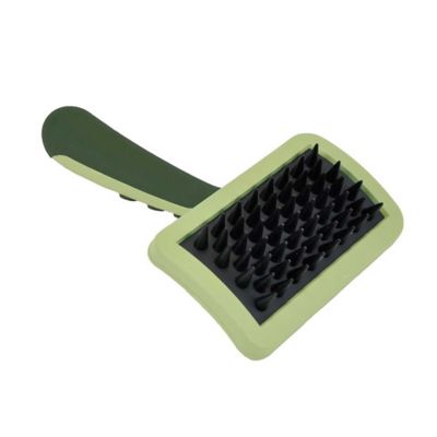 Safari Dog Massage Brush, W430 NCL00