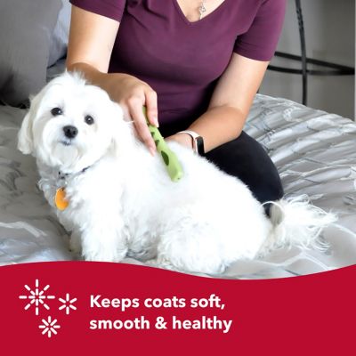 Image showing 5 th Safari Dog Mat Remover, W6117 NCL00