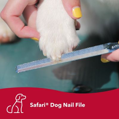 Image showing  Dog Nail File