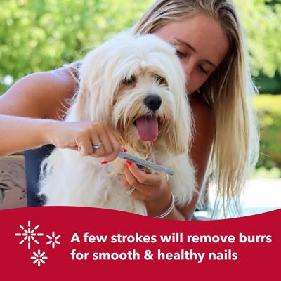 Image showing 5 th Safari Dog Nail File