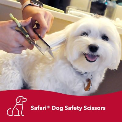 Image showing  Dog Safety Scissors