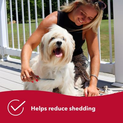 Image showing  Dog Shedding Combs, W564 NCL00