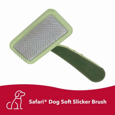 Image showing  Dog Soft Slicker Brush, Large (6.75 in. L x 4.375 in. W), W406 NCL00