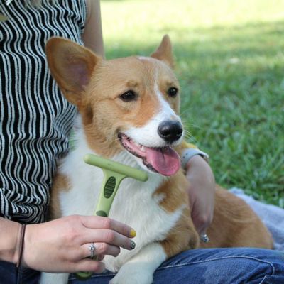 Image showing  Dog Double Row Undercoat Rake, Green, Small (6.25 in. L x 3.5 in. W), W6122 NCL00