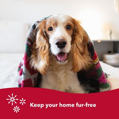 Image showing 5 th Safari Dog Double Row Undercoat Rake, Green, Small (6.25 in. L x 3.5 in. W), W6122 NCL00