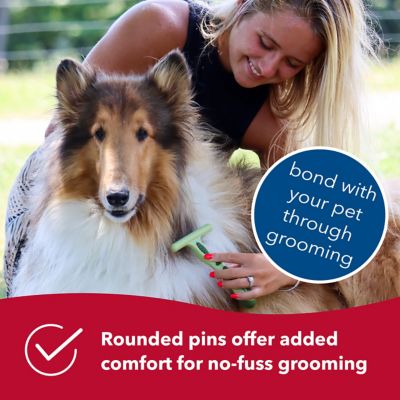 Image showing  Dog Double Row Undercoat Rake with Rotating Pins, Green, Medium / Large (6.25 in. L x 4.25 in. W), W6192 NCL00