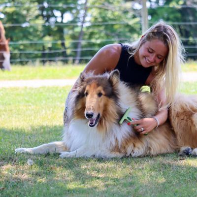 Image showing 5 th Safari Dog Double Row Undercoat Rake with Rotating Pins, Green, Medium / Large (6.25 in. L x 4.25 in. W), W6192 NCL00