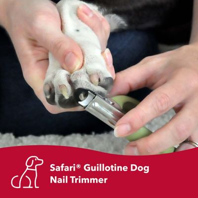 Image showing  Guillotine Dog Nail Trimmer
