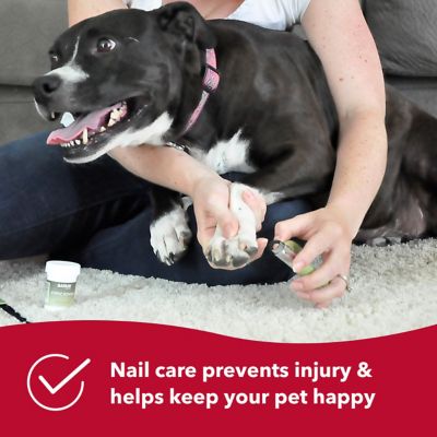 Image showing 5 th Safari Guillotine Dog Nail Trimmer