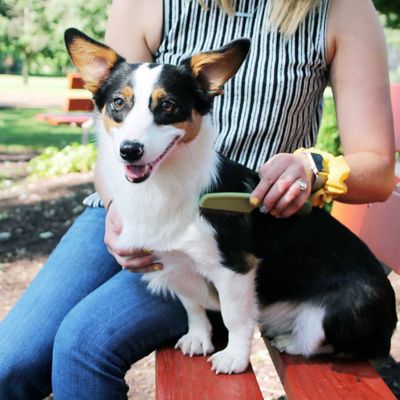 Image showing  Medium Dog Comb with Rotating Teeth, W598 NCL00