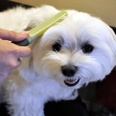 Image showing  Medium Dog Comb with Rotating Teeth, W598 NCL00