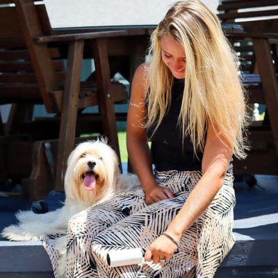 Image showing  Pet Hair Roller