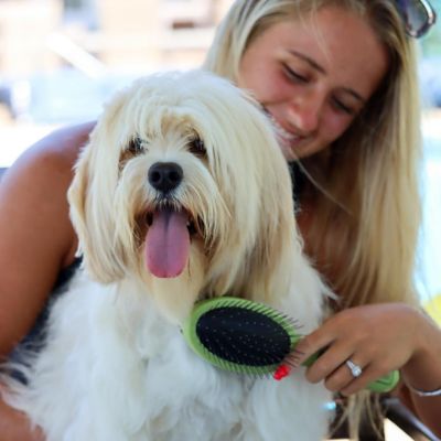 Image showing  Plastic Pin and Bristle Combo Brush, Large, W6152 CMBLRG