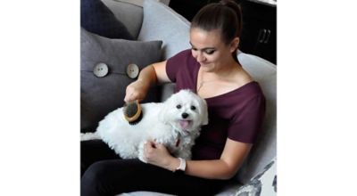 Image showing  Pin and Bristle Combo Dog Brush with Bamboo Handle, Comb, Medium, W6451 CMBMED