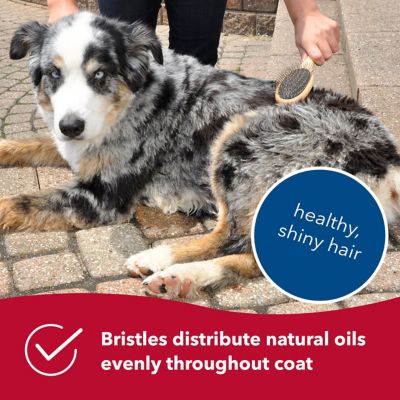 Image showing  Pin and Bristle Combo Dog Brush with Bamboo Handle, Comb, Medium, W6451 CMBMED