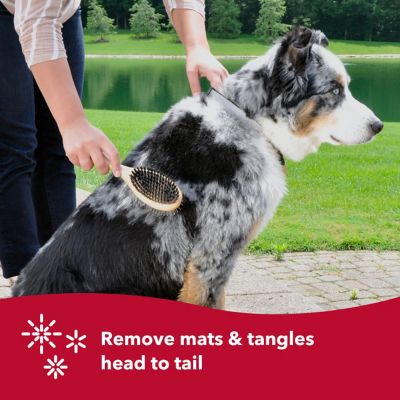 Image showing  Pin and Bristle Combo Dog Brush with Bamboo Handle, Comb, Medium, W6451 CMBMED