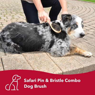 Image showing  Pin and Bristle Combo Dog Brush with Bamboo Handle, W6452 CMBLRG