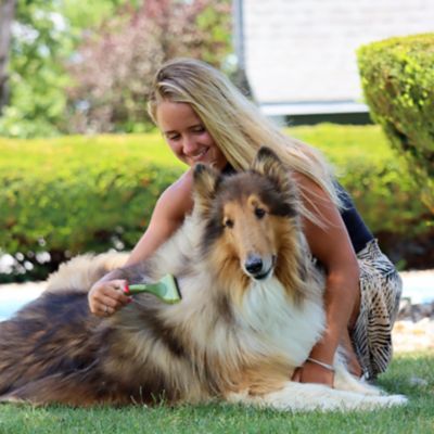 Image showing  Shed Magic Dog Deshedding Tool, W6127 NCL00