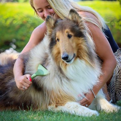 Image showing  Shed Magic Dog Deshedding Tool, W6126 NCL00