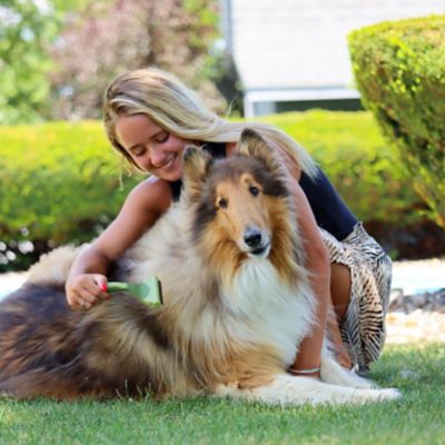 Image showing  Shed Magic Dog Deshedding Tool, W6126 NCL00