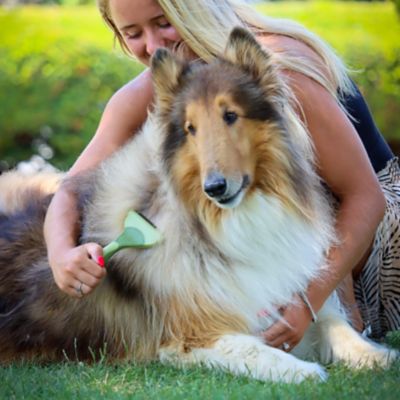 Image showing  Shed Magic Dog Deshedding Tool for Dogs with Medium to Long Hair, W6125 NCL00