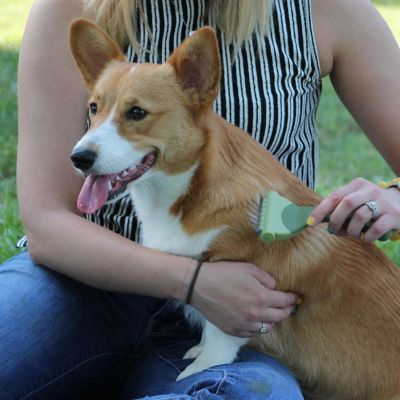 Image showing  Shed Magic Pet Deshedding Tool, W6326 NCL00