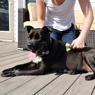 Image showing  Shed Magic Pet Deshedding Tool, W6327 NCL00