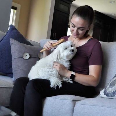 Image showing  Wire Pin Dog Brush with Bamboo Handle, Pin, Large (9.75 in. L x 2.75 in. W), W6443 PINLRG