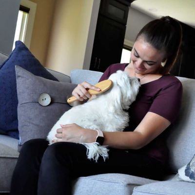 Image showing  Wire Pin Dog Brush with Bamboo Handle, Pin, Large (9.75 in. L x 2.75 in. W), W6443 PINLRG