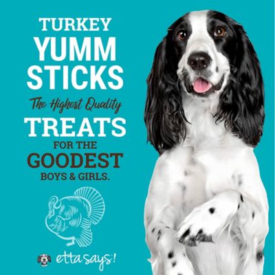 Image showing  Turkey Yumm Sticks Dog Chew